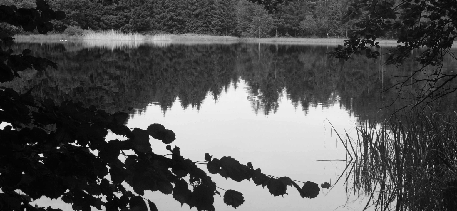 Fishing Background